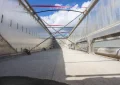 Самосвальный полуприцеп Тонар 9599, 2026 г/в - фото 9